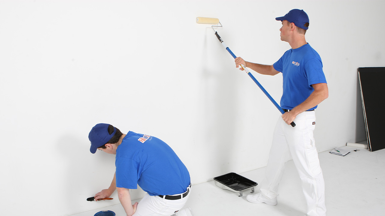 Altınordu Boya Badanacı